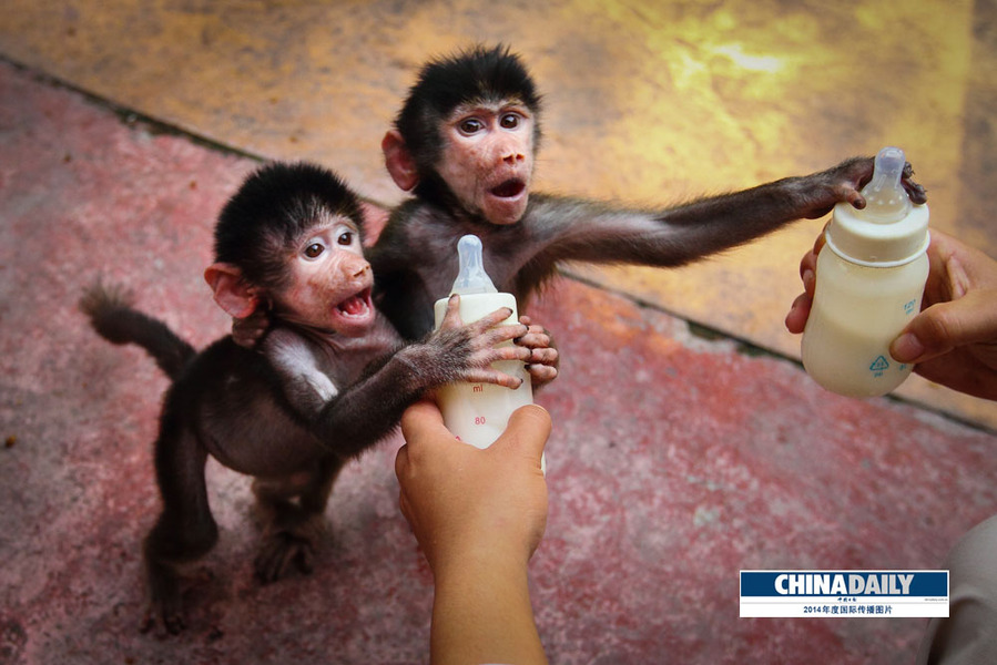 中國(guó)日?qǐng)?bào)2014年度國(guó)際傳播圖片精選