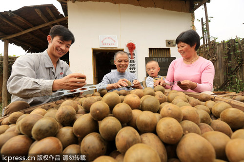 中國羅漢果變身美國汽水產業大救星？