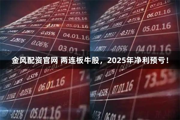 金风配资官网 两连板牛股，2025年净利预亏！
