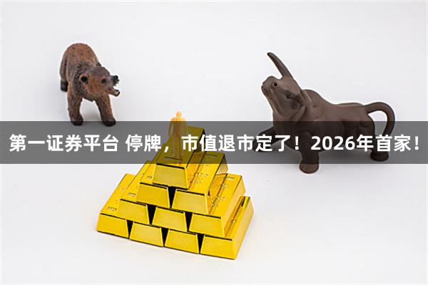 第一证券平台 停牌，市值退市定了！2026年首家！